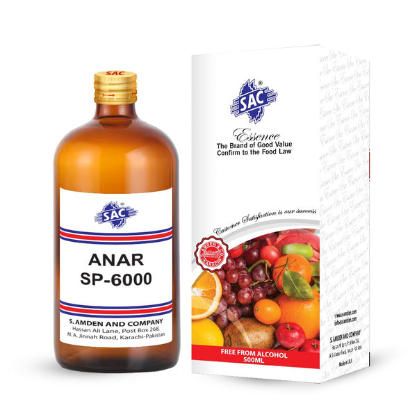 ANAR SP-6000
